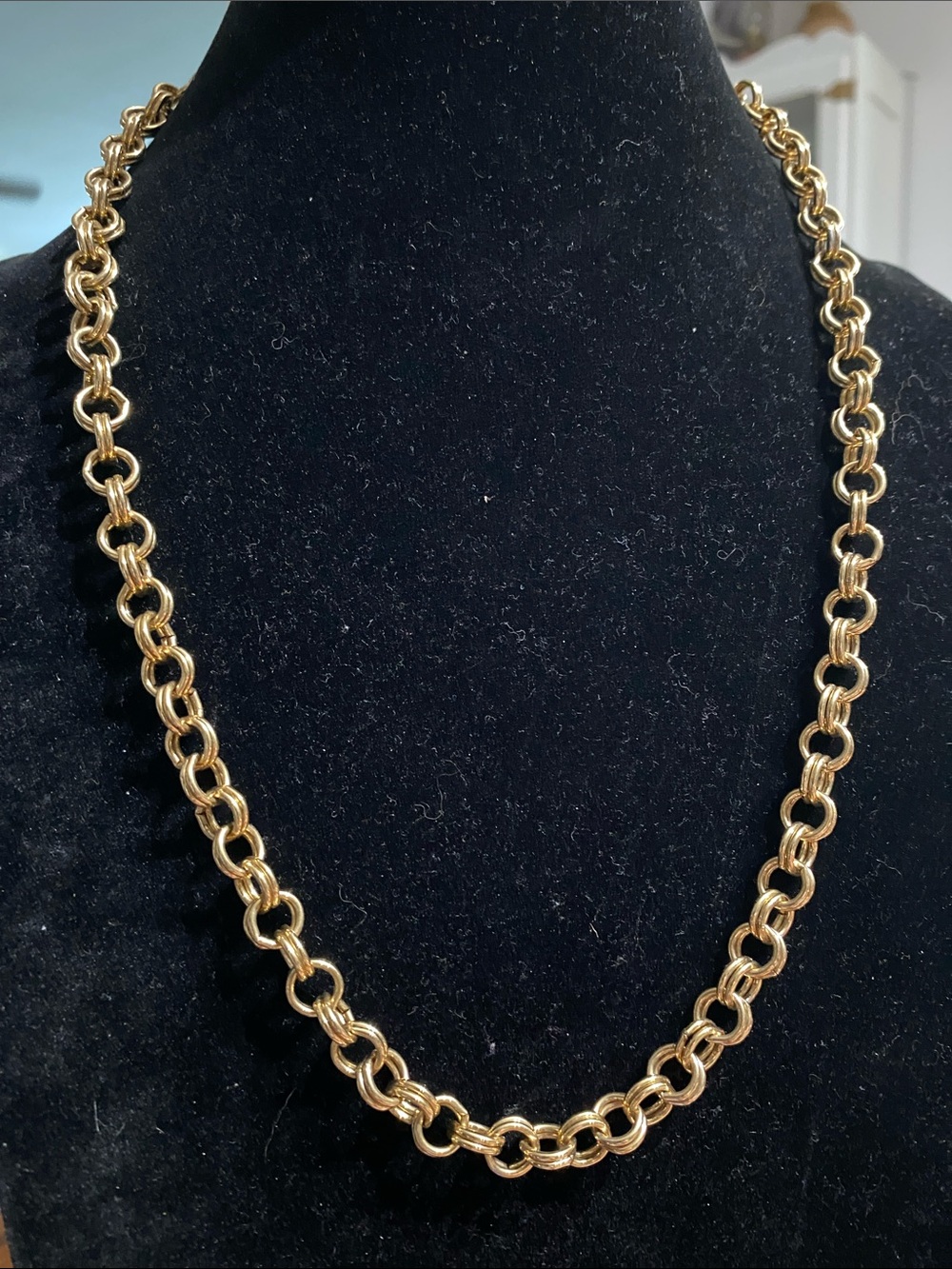 Sarah Coventry Gold-Tone Double Link Necklace